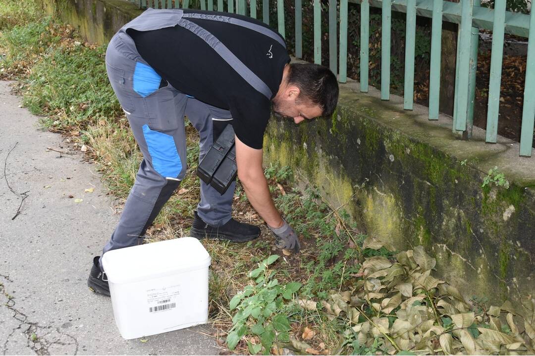 FOTO: V košickej mestskej časti Nad jazerom pokračujú v deratizácii, foto 6