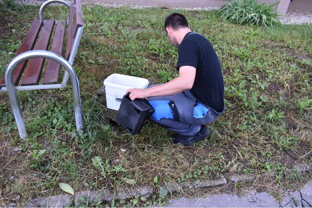 FOTO: V košickej mestskej časti Nad jazerom pokračujú v deratizácii, foto 7