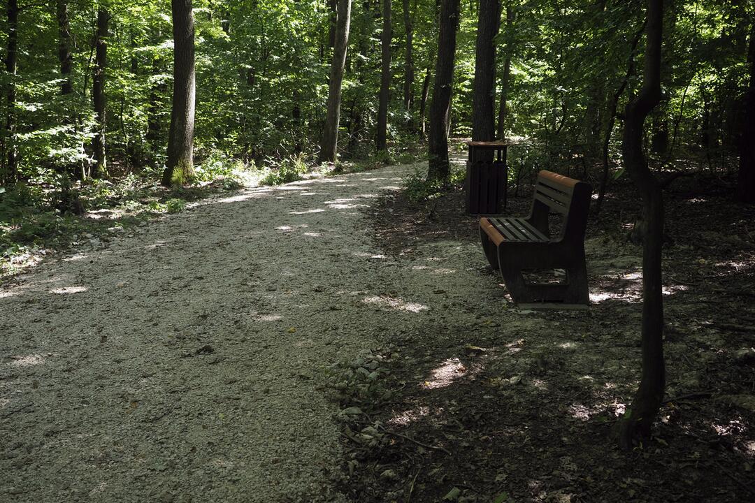 FOTO: Košičania si môžu prísť oddýchnuť do nového lesoparku, nájdu ho na Pereši, foto 2