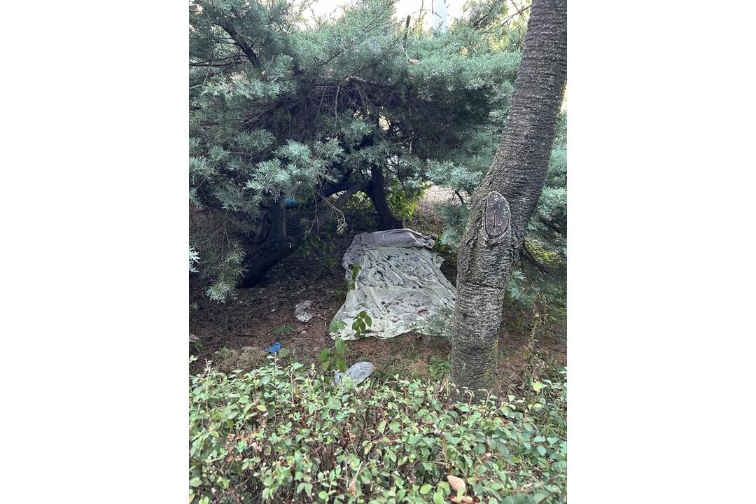 FOTO: Košičania z vlastnej iniciatívy upratali okolie chodníka na Triede SNP, foto 2