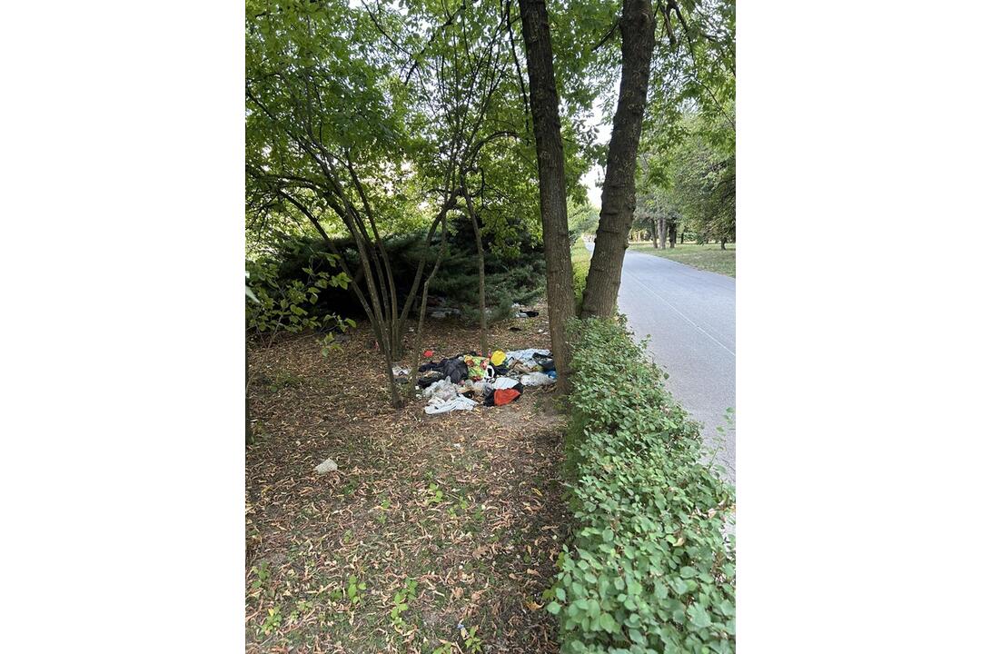 FOTO: Košičania z vlastnej iniciatívy upratali okolie chodníka na Triede SNP, foto 3