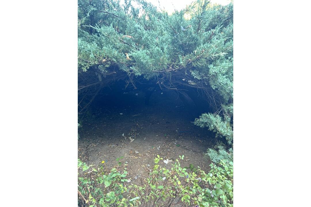 FOTO: Košičania z vlastnej iniciatívy upratali okolie chodníka na Triede SNP, foto 5