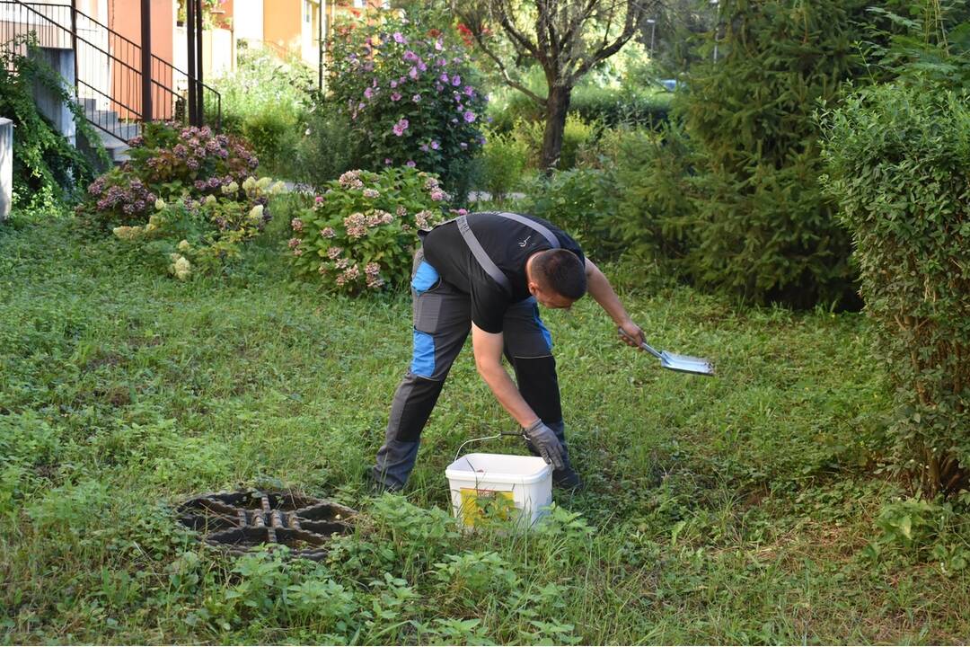 FOTO: Sídlisko Nad Jazerom bolo zamorené potkanmi, foto 7