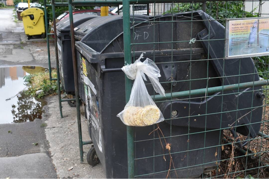 FOTO: Sídlisko Nad Jazerom bolo zamorené potkanmi, foto 8