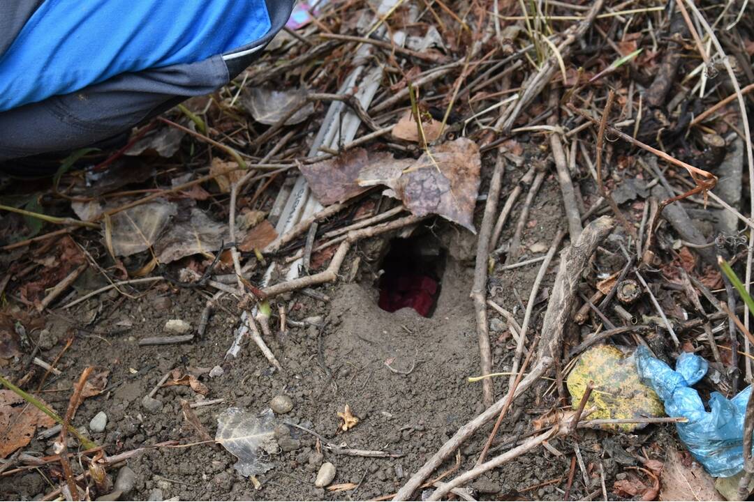 FOTO: Sídlisko Nad Jazerom bolo zamorené potkanmi, foto 20