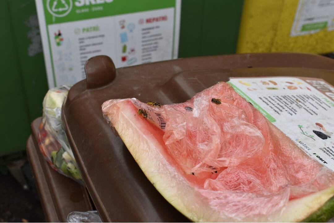 FOTO: Sídlisko Nad Jazerom bolo zamorené potkanmi, foto 21