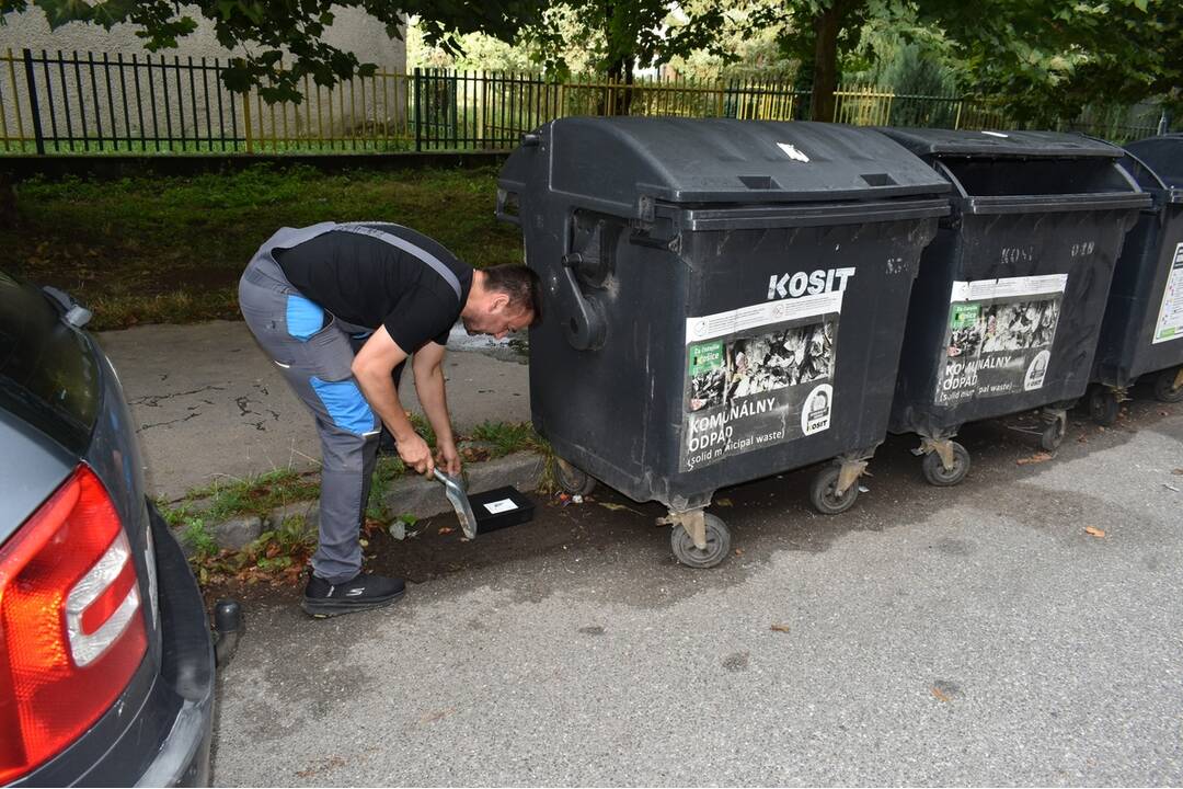FOTO: Sídlisko Nad Jazerom bolo zamorené potkanmi, foto 24