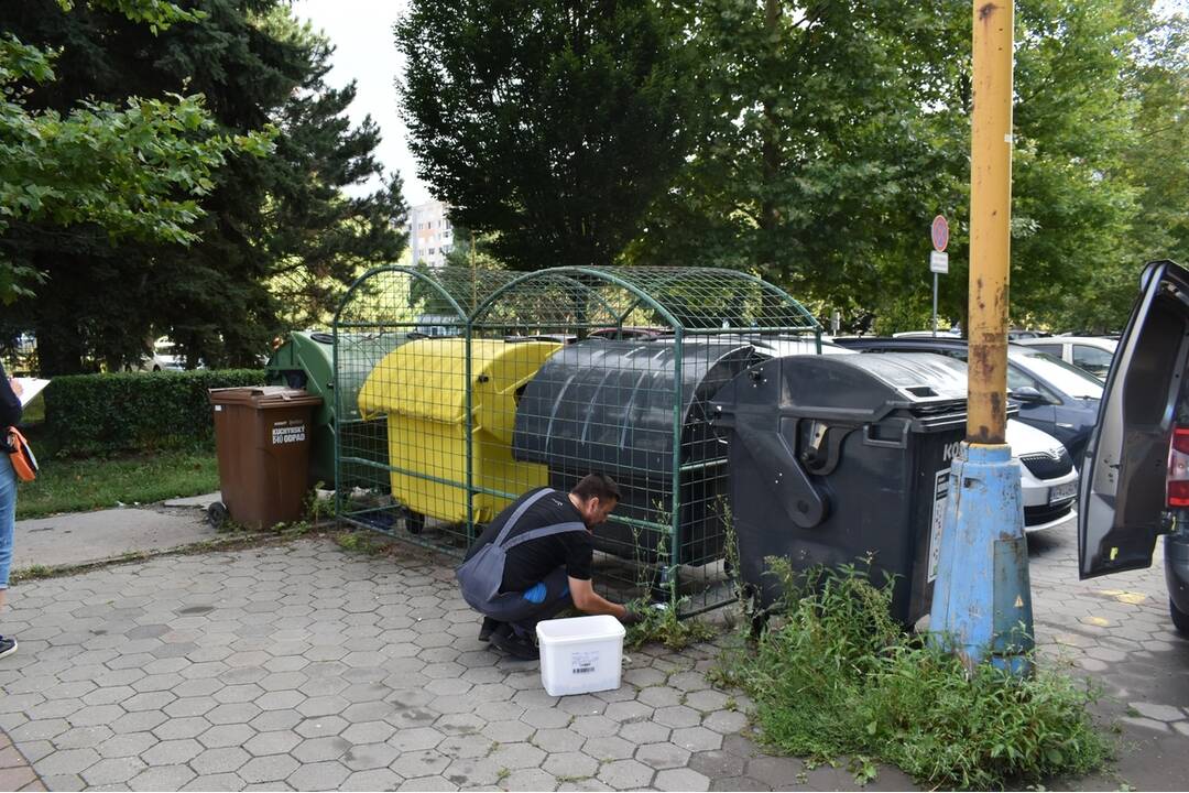 FOTO: Sídlisko Nad Jazerom bolo zamorené potkanmi, foto 26