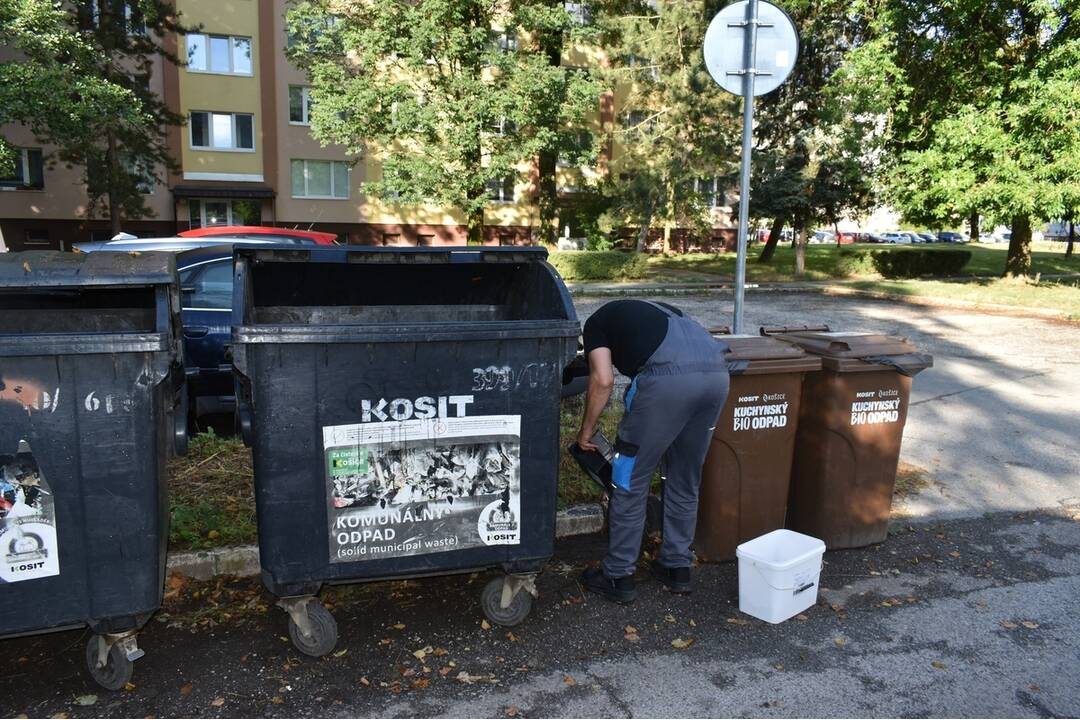 FOTO: Sídlisko Nad Jazerom bolo zamorené potkanmi, foto 27