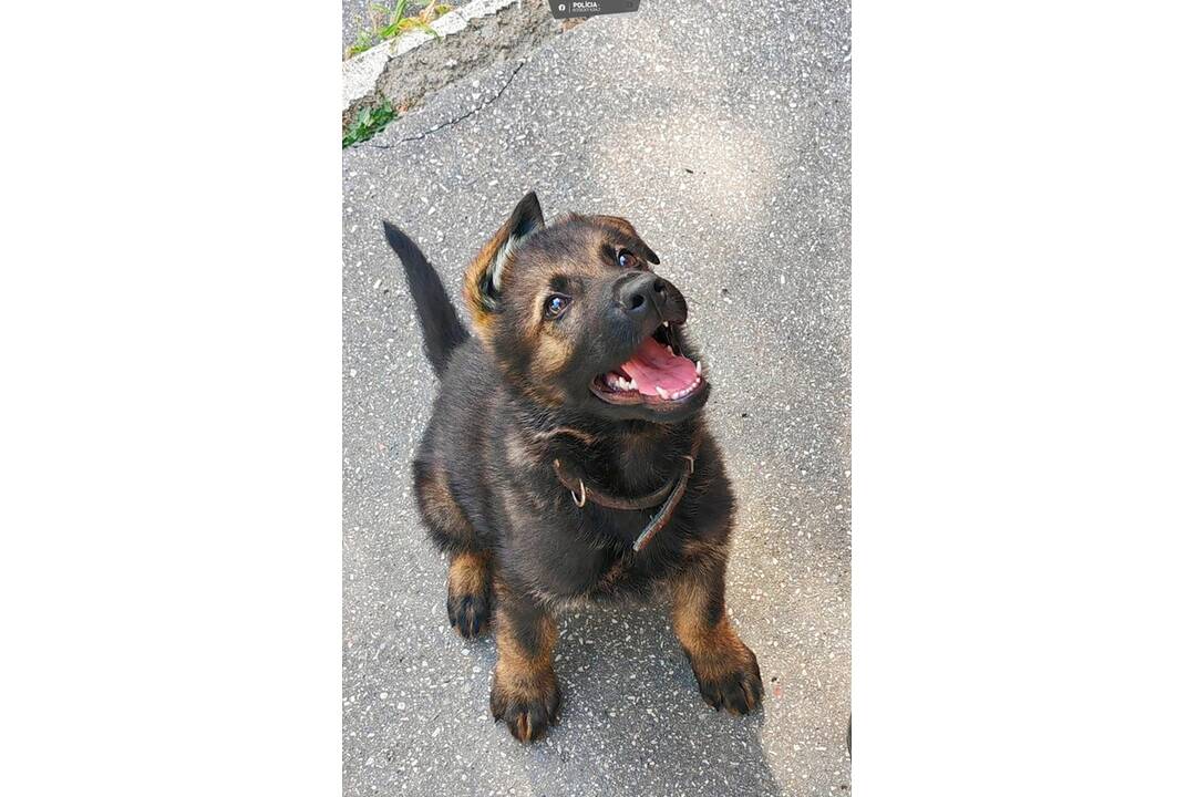 FOTO: Novým členom policajného zboru sa stal Faust, foto 4