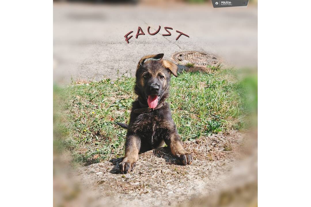 FOTO: Novým členom policajného zboru sa stal Faust, foto 6