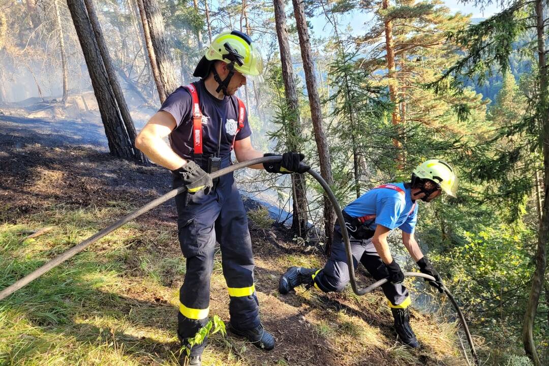 FOTO: Neďaleko Tomášovského výhľadu vypukol požiar, foto 1