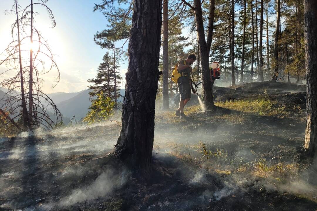 FOTO: Neďaleko Tomášovského výhľadu vypukol požiar, foto 2