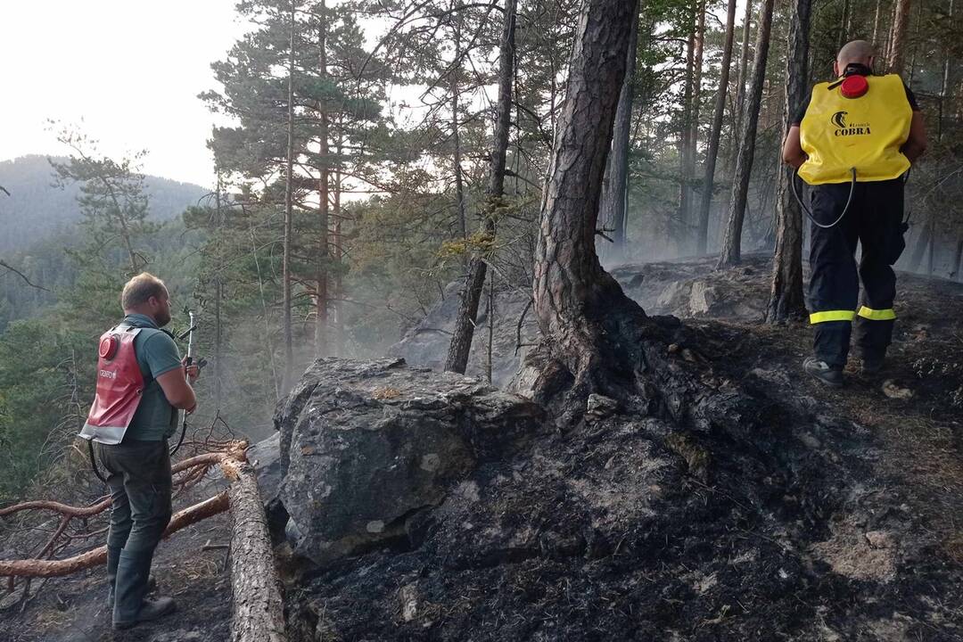 FOTO: Neďaleko Tomášovského výhľadu vypukol požiar, foto 3