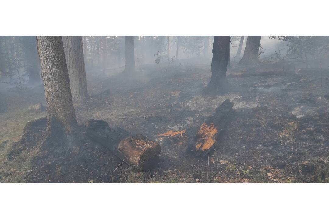 FOTO: Neďaleko Tomášovského výhľadu vypukol požiar, foto 16