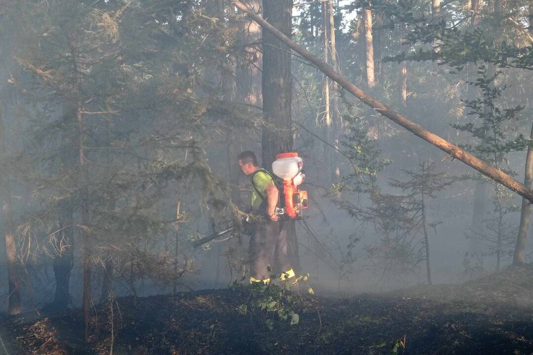 FOTO: Neďaleko Tomášovského výhľadu vypukol požiar, foto 20