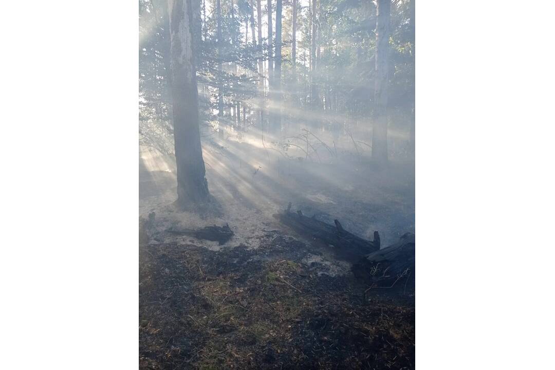FOTO: Neďaleko Tomášovského výhľadu vypukol požiar, foto 21