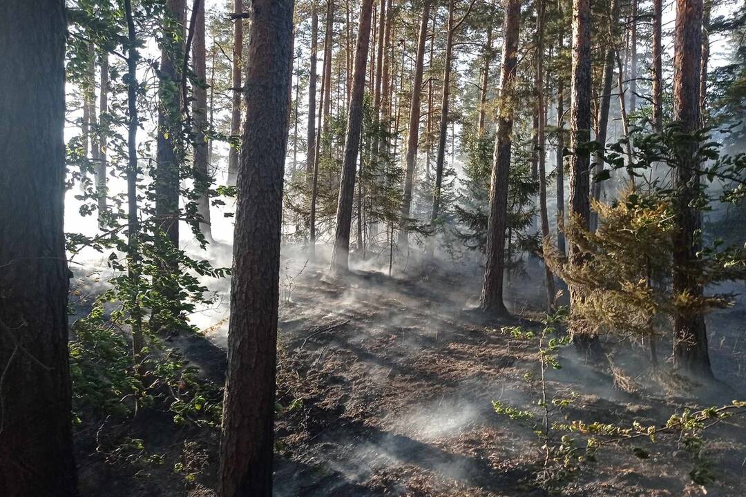 FOTO: Neďaleko Tomášovského výhľadu vypukol požiar, foto 23