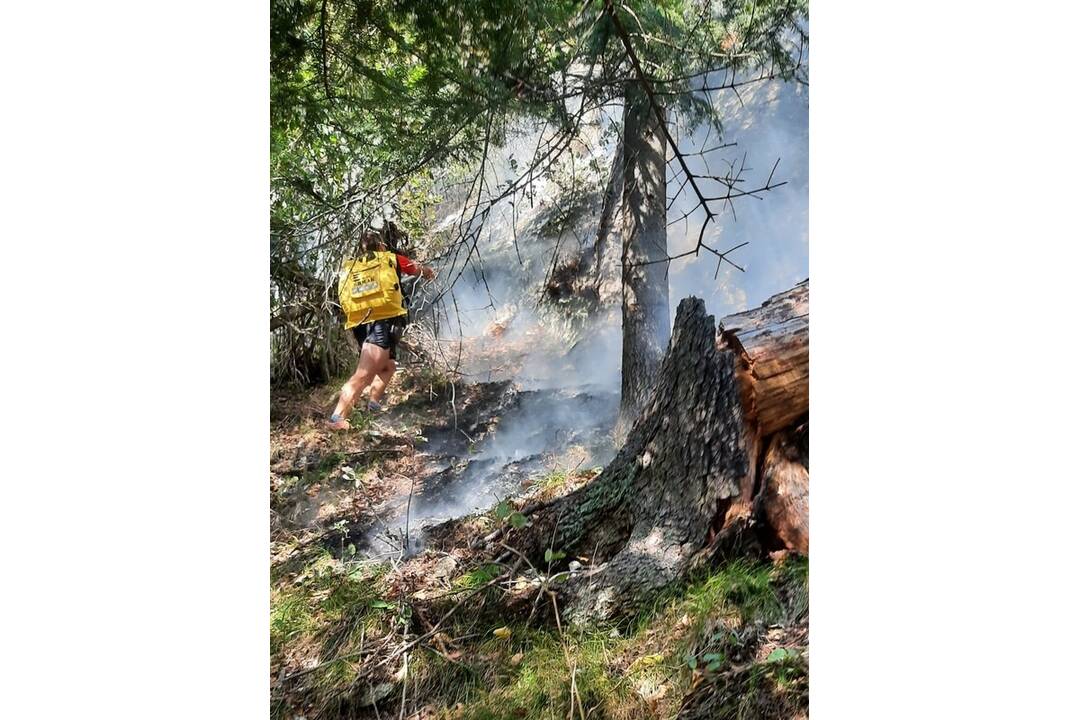 FOTO: Neďaleko Tomášovského výhľadu vypukol požiar, foto 24