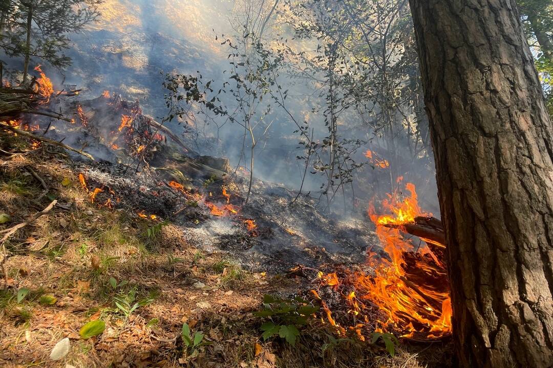 FOTO: Neďaleko Tomášovského výhľadu vypukol požiar, foto 26