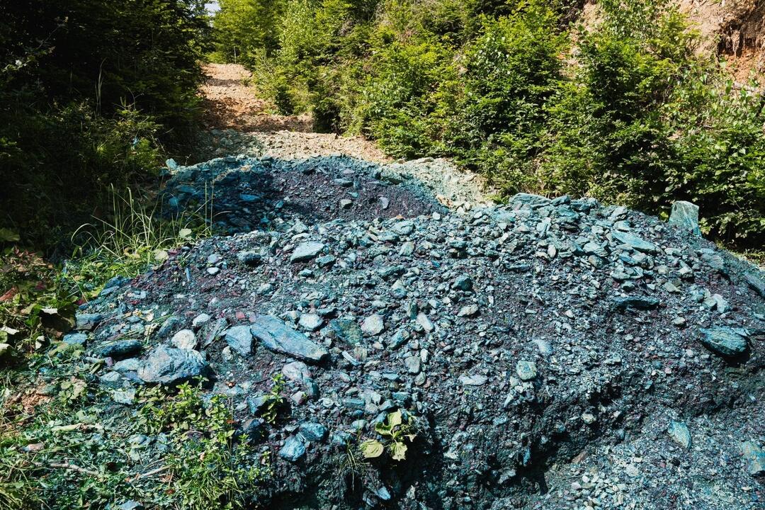 FOTO: Revolúcia v ochrane biodiverzity. Košický kraj zachráni 400 miliónov litrov dažďovej vody ročne, foto 1