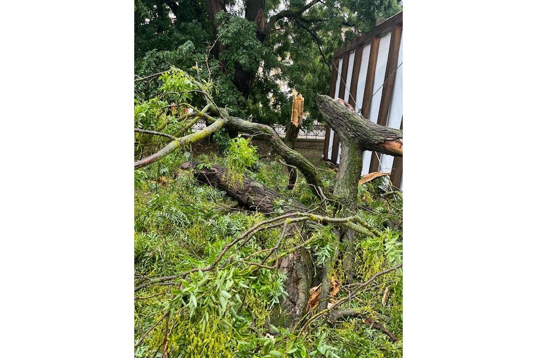 FOTO: Pri Východoslovenskom múzeu v Košiciach spadla vetva stromu, foto 3
