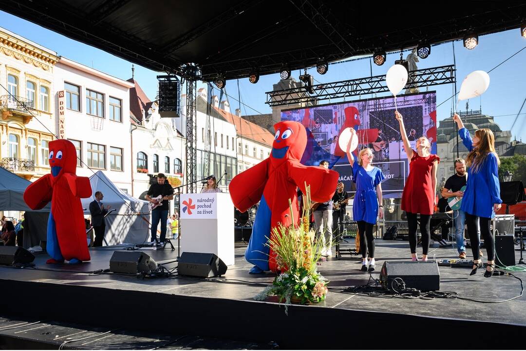 FOTO: Ako vyzeral Národný pochod za život? Prišlo až 40-tisíc účastníkov, foto 19