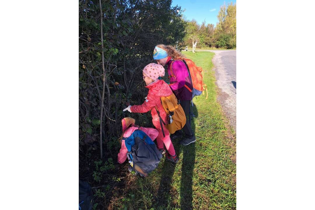 FOTO: Skauti sa pustili do čistenia Slovenského raja, foto 10