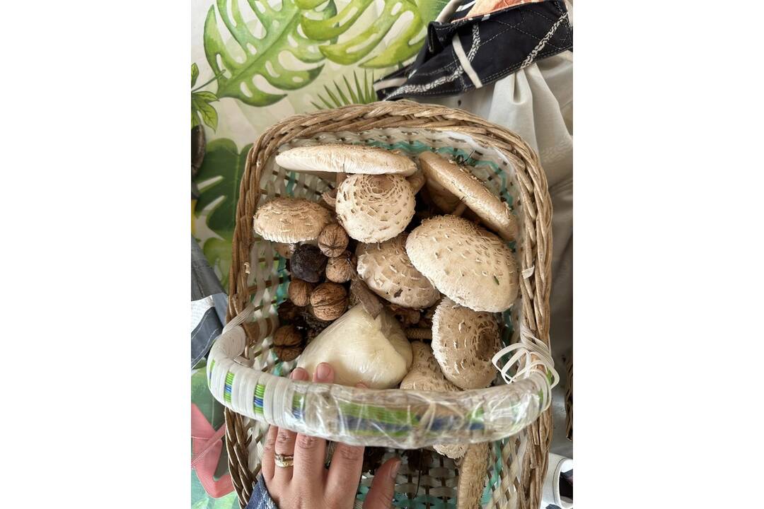 FOTO: Prvé hubárske úlovky v Košickom kraji, foto 18