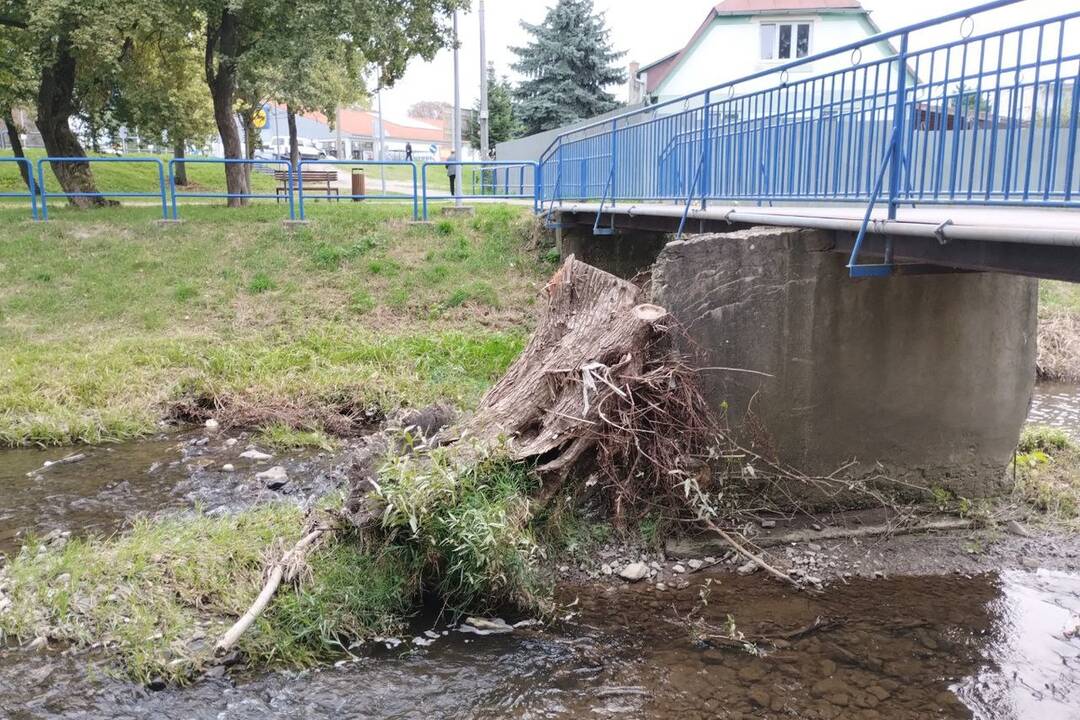 FOTO: Vodohospodári riešili kalamitnú situáciu na Sobraneckom potoku, mohutný kmeň sa zachytil o most, foto 1