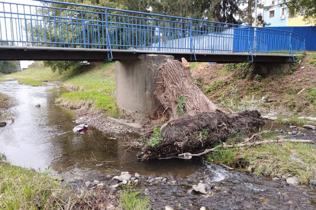 FOTO: Vodohospodári riešili kalamitnú situáciu na Sobraneckom potoku, mohutný kmeň sa zachytil o most, foto 4