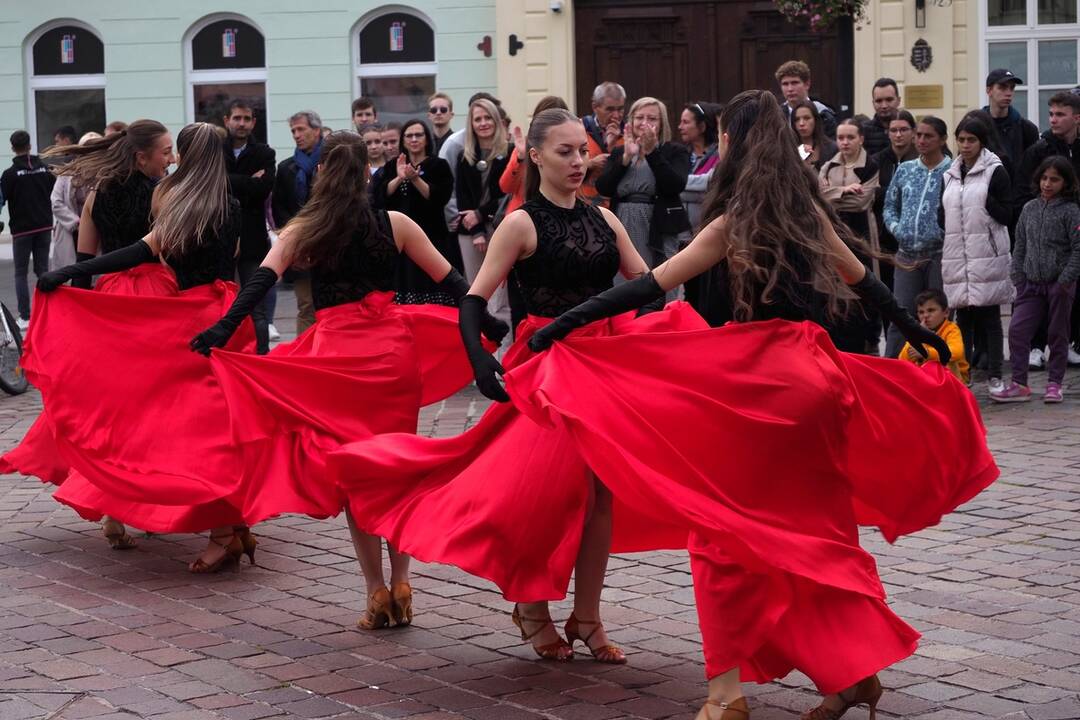 FOTO: Košickí študenti premenili Hlavnú ulicu na španielsku La Ramblu, foto 29