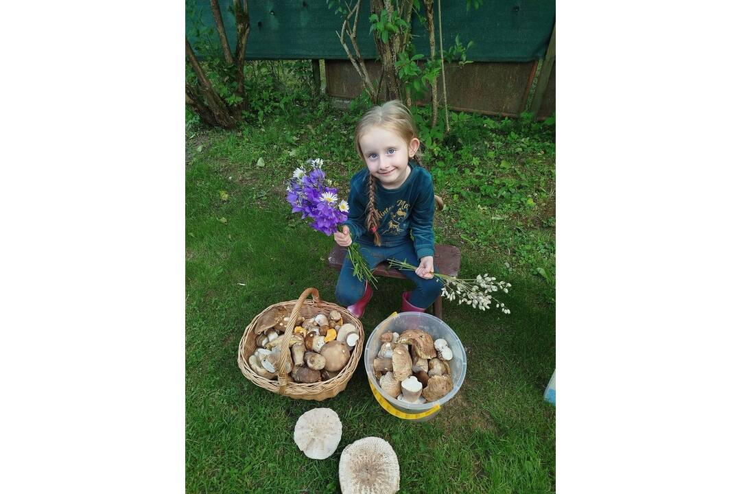 FOTO: Hubári sa vytešujú z plných košíkov, foto 6