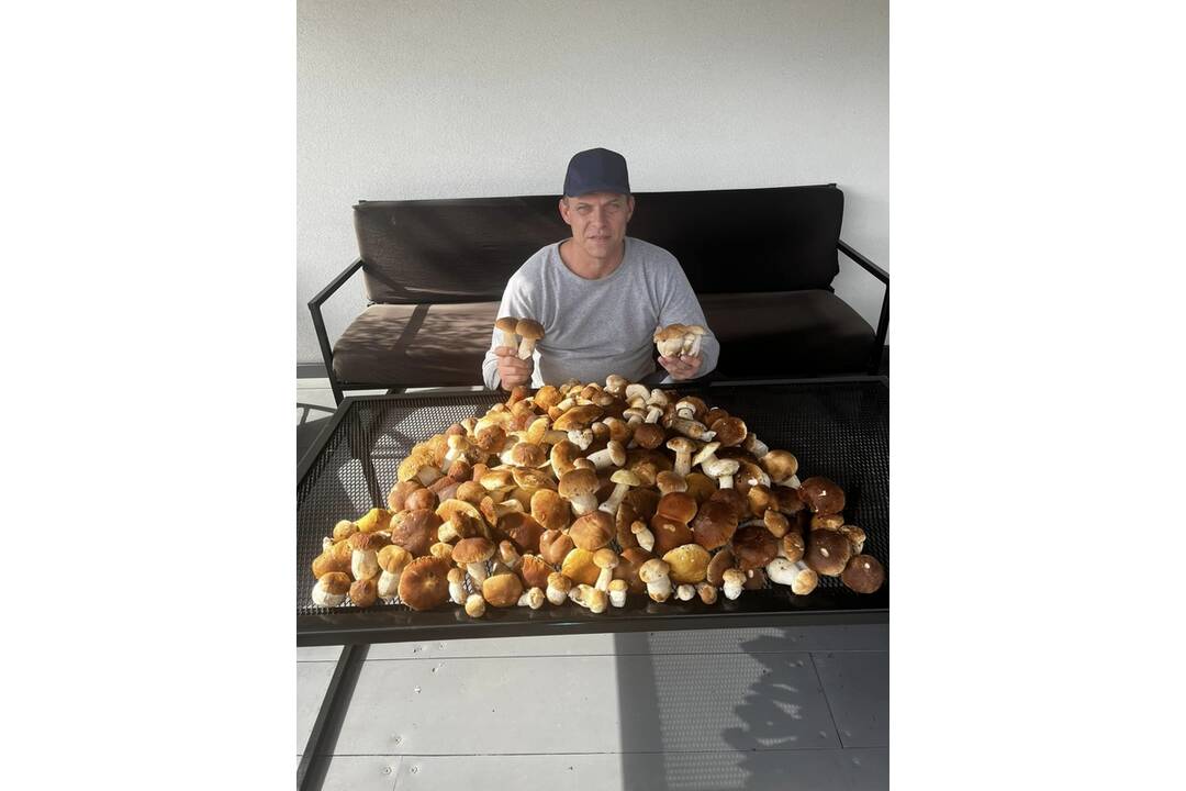 FOTO: Hubári sa vytešujú z plných košíkov, foto 2