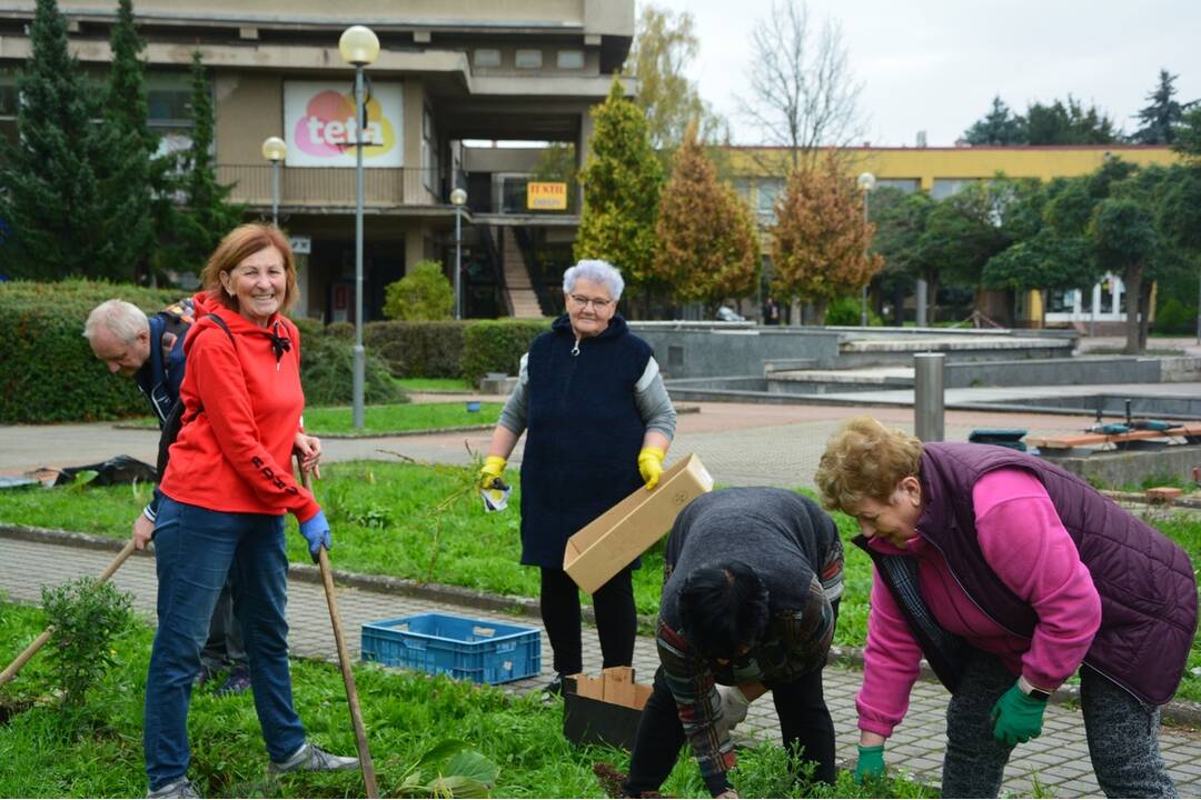 FOTO: Seniori zo Šaci zveľadili námestie, foto 11