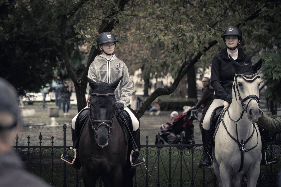 FOTO: Košicami viedol sprievod koní. Konala sa tradičná Hubertova jazda, foto 30