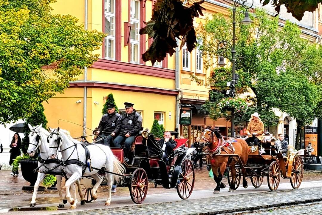FOTO: Košicami viedol sprievod koní. Konala sa tradičná Hubertova jazda, foto 19