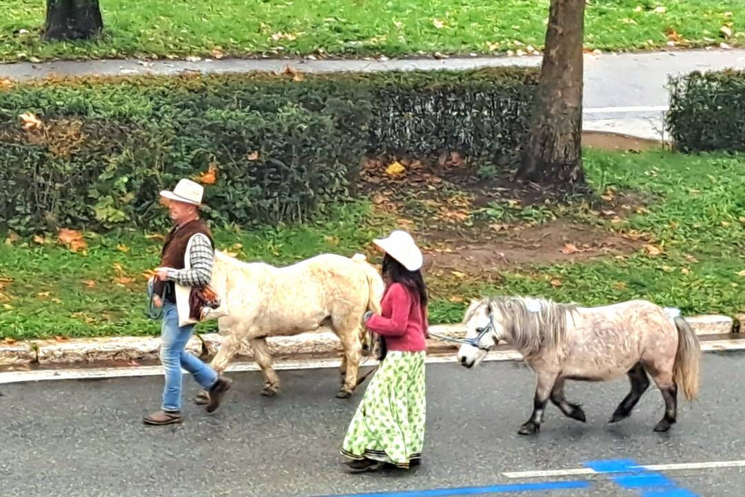 FOTO: Košicami viedol sprievod koní. Konala sa tradičná Hubertova jazda, foto 44