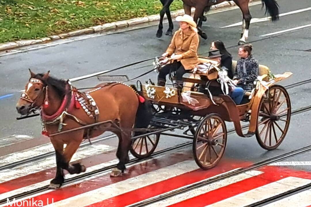FOTO: Košicami viedol sprievod koní. Konala sa tradičná Hubertova jazda, foto 45