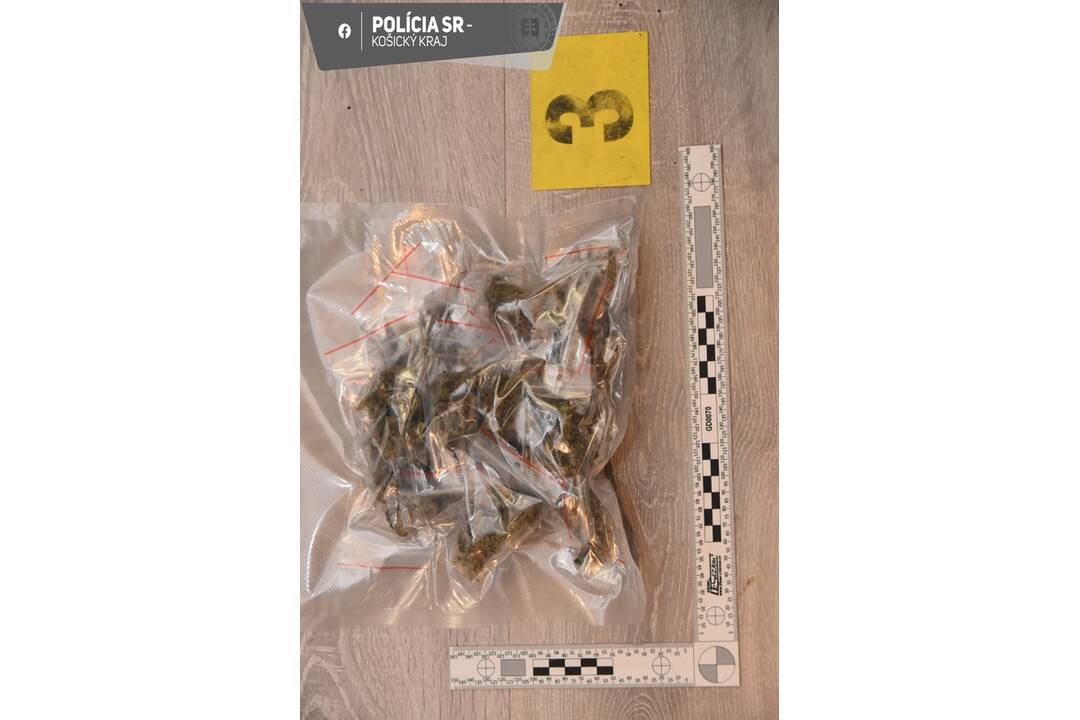 FOTO: Toto našli policajti Košického kraja pri raziách v Spišskej Novej Vsi, foto 2