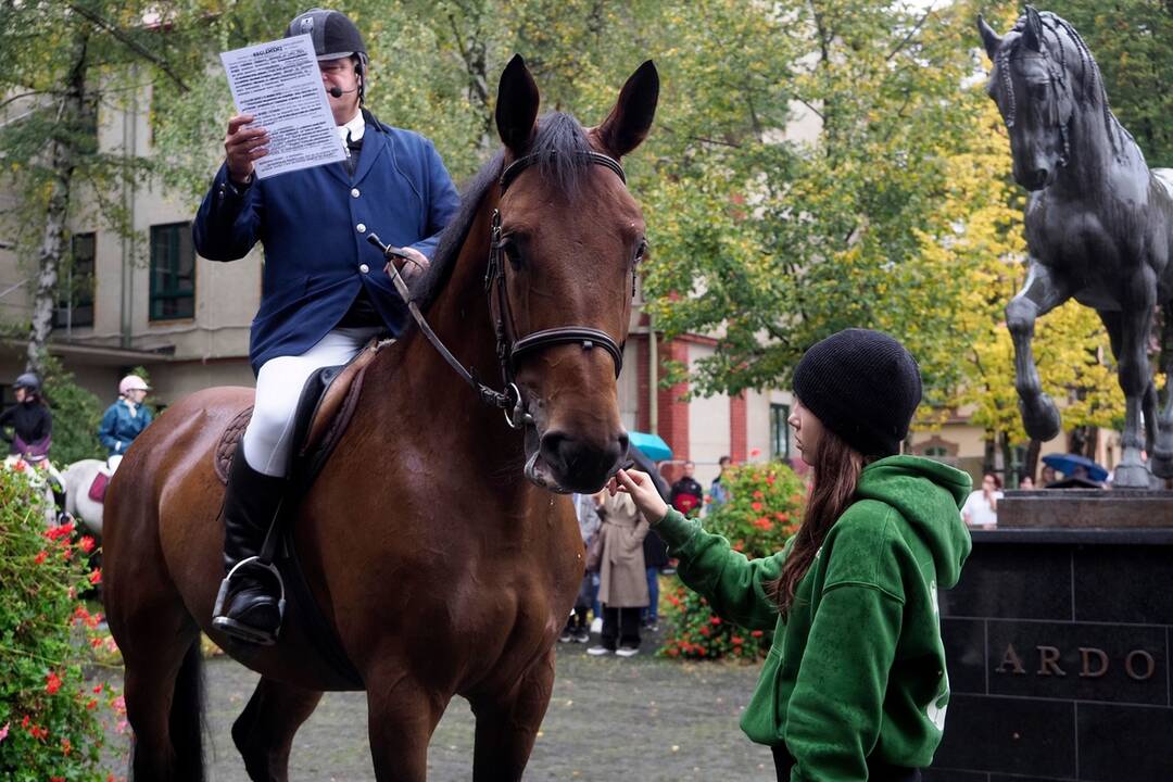 FOTO: Košicami viedol sprievod koní. Konala sa tradičná Hubertova jazda, foto 55