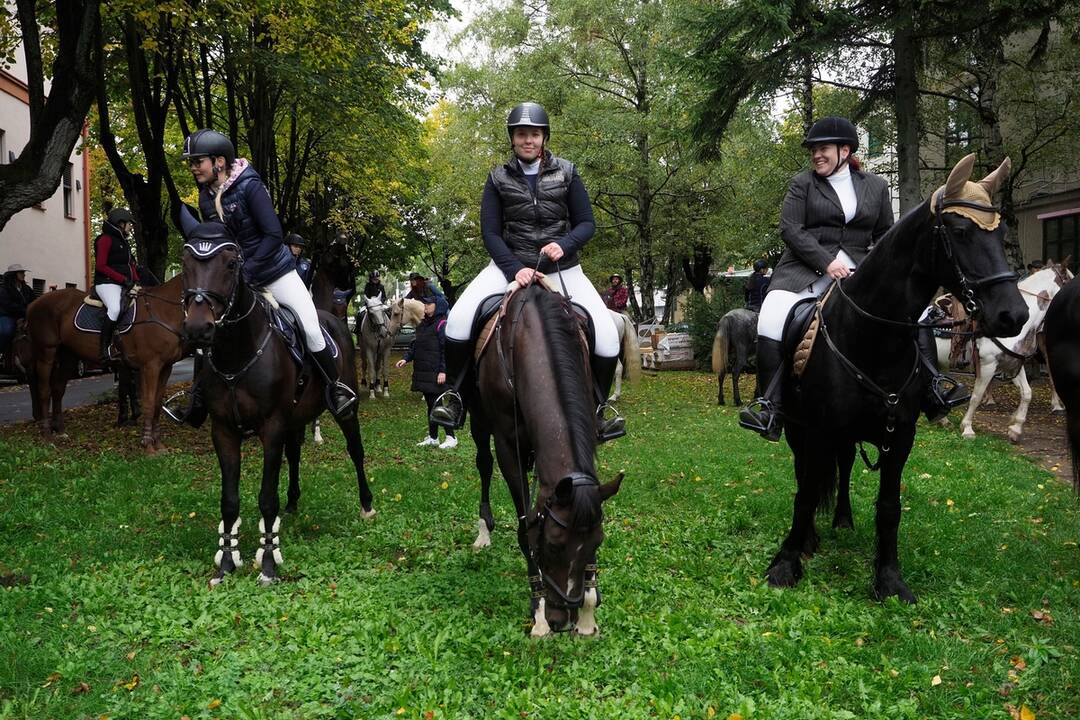 FOTO: Košicami viedol sprievod koní. Konala sa tradičná Hubertova jazda, foto 58