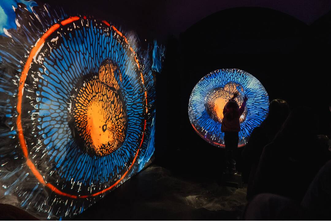 FOTO: Najväčší festival súčasného umenia opäť v Košiciach. Čo si pre návštevníkov tento rok pripravila Biela noc?, foto 14