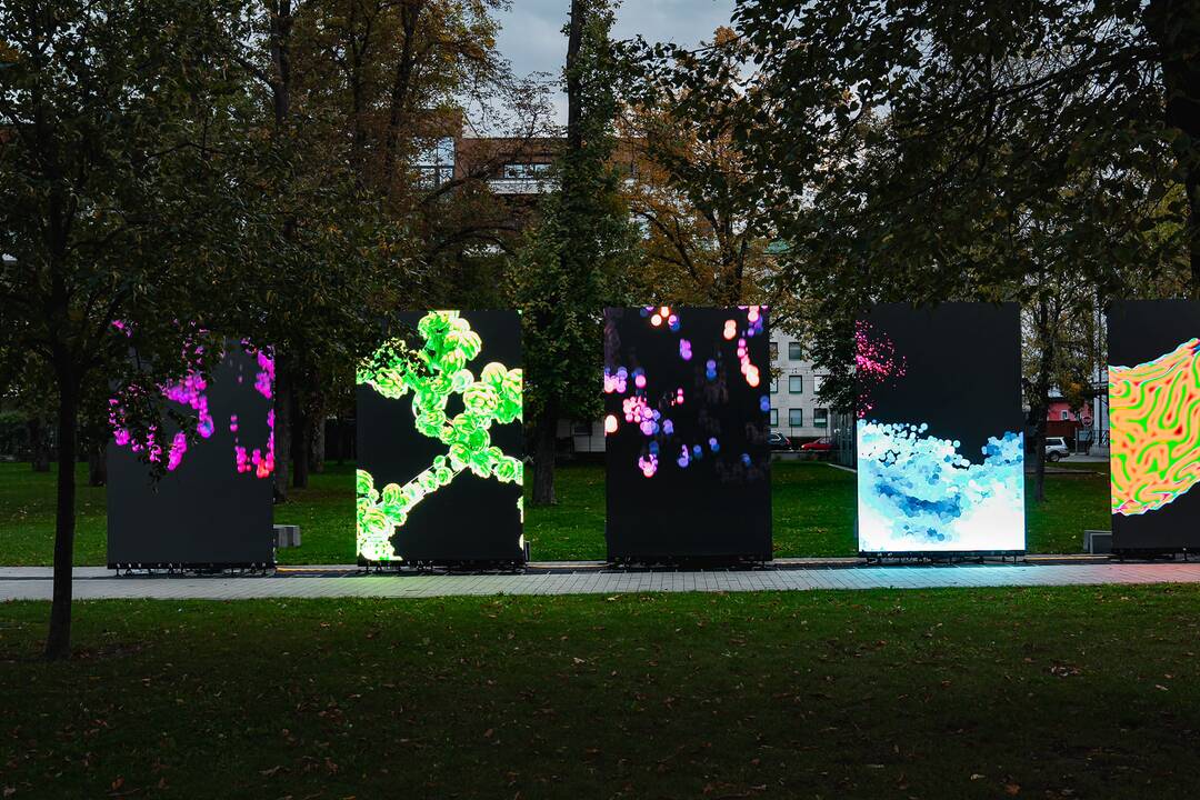 FOTO: Najväčší festival súčasného umenia opäť v Košiciach. Čo si pre návštevníkov tento rok pripravila Biela noc?, foto 2