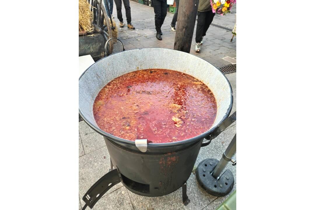 FOTO: Kapustobranie na Starom pľaci potešilo chuťové poháriky Košičanov, foto 7