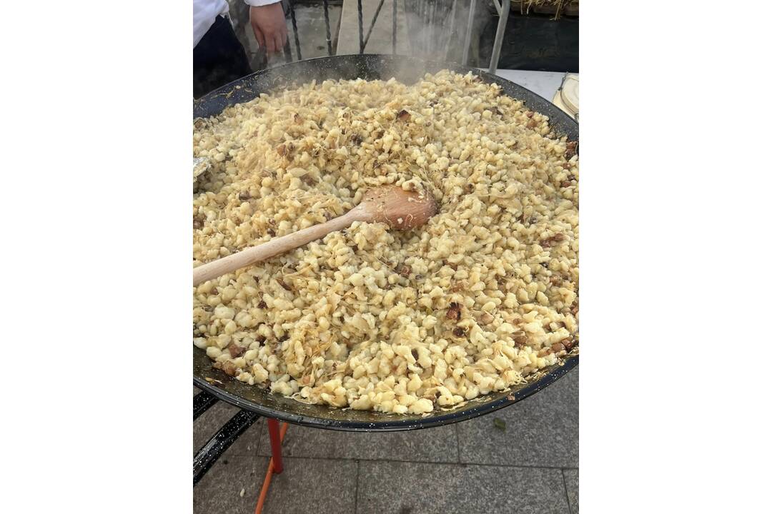 FOTO: Kapustobranie na Starom pľaci potešilo chuťové poháriky Košičanov, foto 13