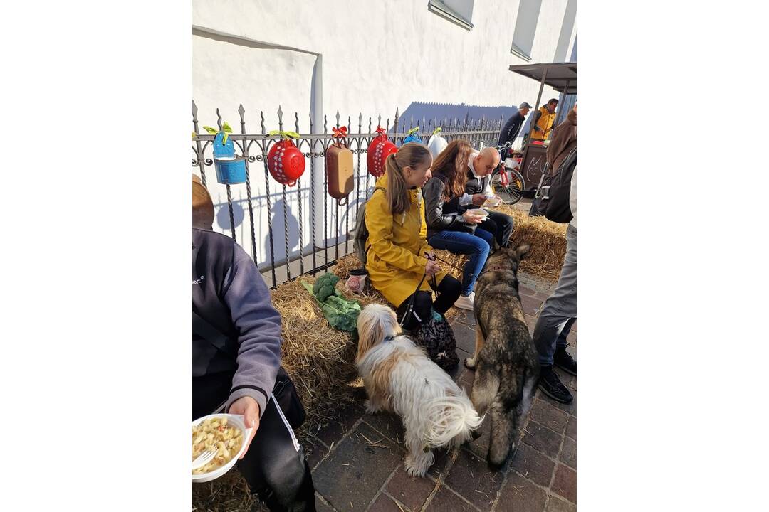 FOTO: Kapustobranie na Starom pľaci potešilo chuťové poháriky Košičanov, foto 16