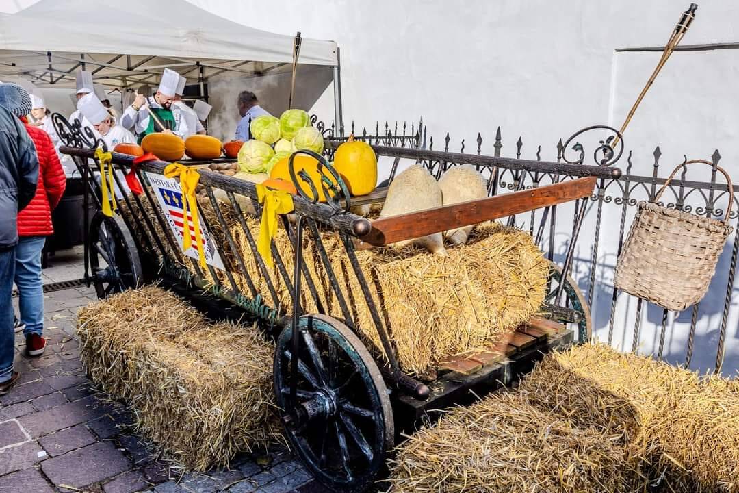 FOTO: Kapustobranie na Starom pľaci potešilo chuťové poháriky Košičanov, foto 5