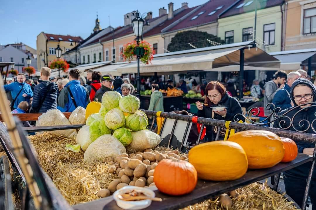 FOTO: Kapustobranie na Starom pľaci potešilo chuťové poháriky Košičanov, foto 9