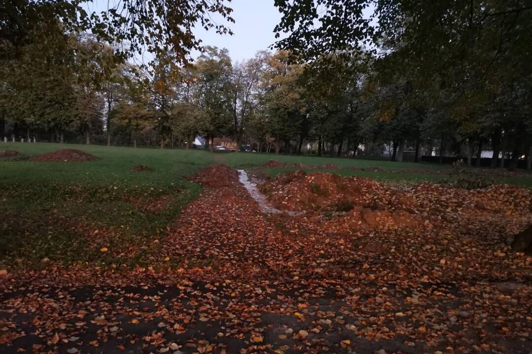 FOTO: Obnova vojenského cintorína v Michalovciach, foto 6